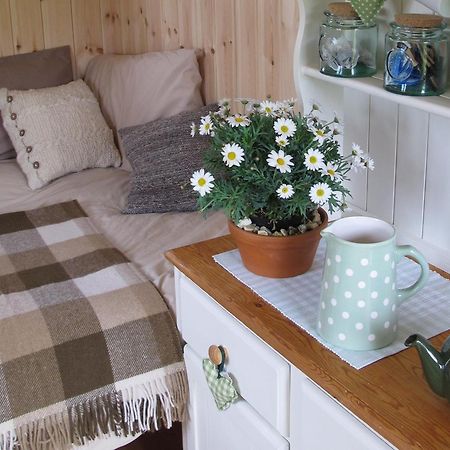 Marshwood Farm B&B And Shepherds Hut Dinton  Extérieur photo