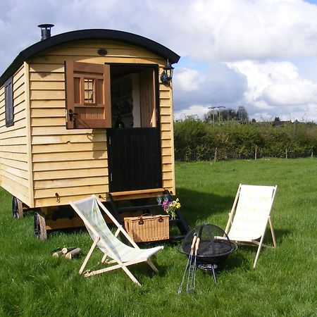 Marshwood Farm B&B And Shepherds Hut Dinton  Extérieur photo