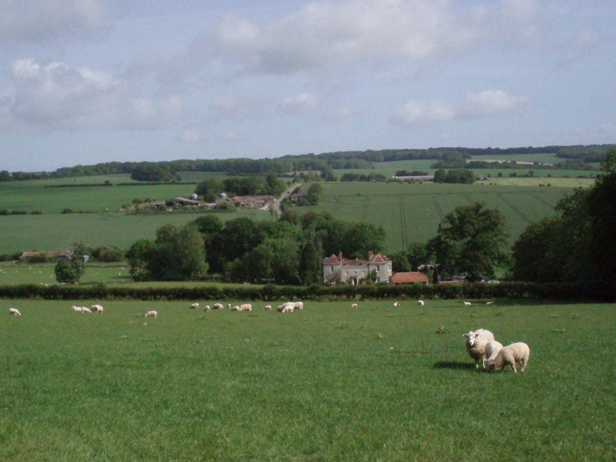 Marshwood Farm B&B And Shepherds Hut Dinton  Extérieur photo